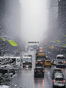 马特贝的炒股人生